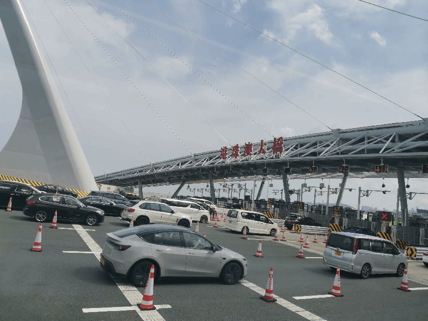 更在于培养桃子汉化组移植游戏大全最新