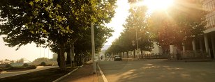 桃子汉化组移植游戏大全新手怎么玩