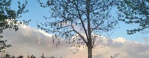 桃子汉化组移植游戏大全
